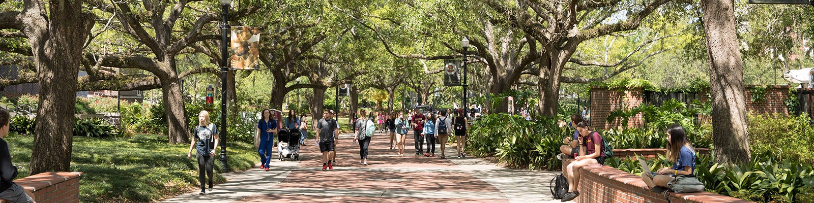 Legacy Walk FSU
